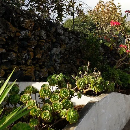 منزل ريفي Casa Da Mata اجوا
